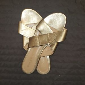 Gianvito Rossi Flat Gold Sandals